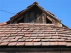 Homrogd030926 017.jpg (91kb)